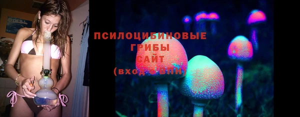 ГАЛЛЮЦИНОГЕННЫЕ ГРИБЫ Армянск