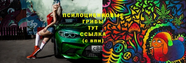 спиды Арсеньев