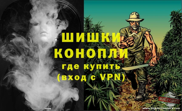 ГАЛЛЮЦИНОГЕННЫЕ ГРИБЫ Армянск