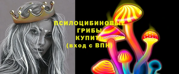 ГАЛЛЮЦИНОГЕННЫЕ ГРИБЫ Армянск