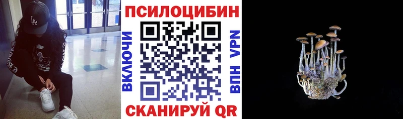 Псилоцибиновые грибы мицелий  наркошоп  гидра рабочий сайт  shop формула  Шилка 